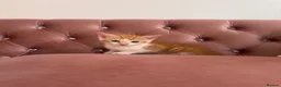 Mixed Breed cats for sale: Kittens easy to go  - Advert 3