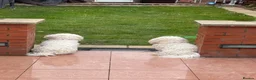 Bichon Frise dogs for sale: Hello in Stanmore - Advert 1
