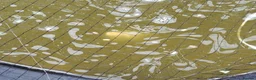 Pond Fish fish for sale: Pond fish for sale, approx 6 in Lincoln - Advert 2