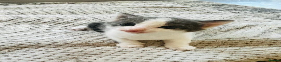 Female 1 
