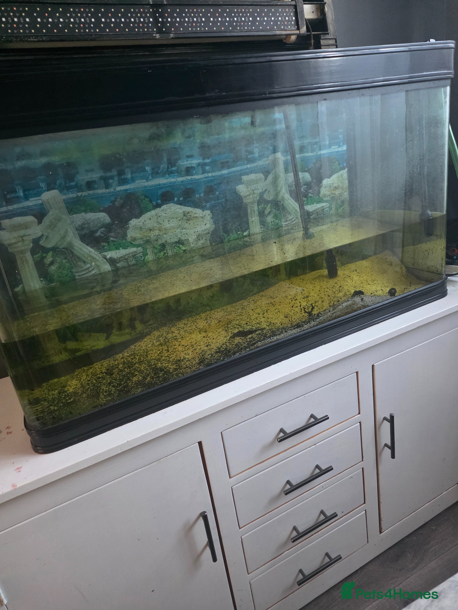 Cichlids fish 300L Aquarium + Cabinet, External Filter - Advert 8