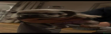 French Bulldog Puppy 6