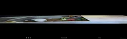 Hermann Tortoise reptiles for sale: Herman tortoise in Merthyr Tydfil - Advert 3