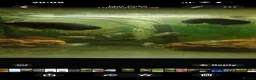 Goldfish fish for sale: 🐠 500L Aquarium – Complete Setup with Fish  in London - Advert 1