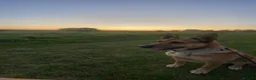Belgian Shepherd Dog dogs for stud: 🐾 Kairo – Available for Stud 🐾 - Advert 9
