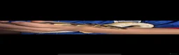 Python Snake reptiles for sale: Puzzle het pied snake for sale 1 year old  - Advert 4