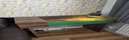 Tortoise reptiles for sale: Dwarf Hermans tortoise full set up - Advert 6