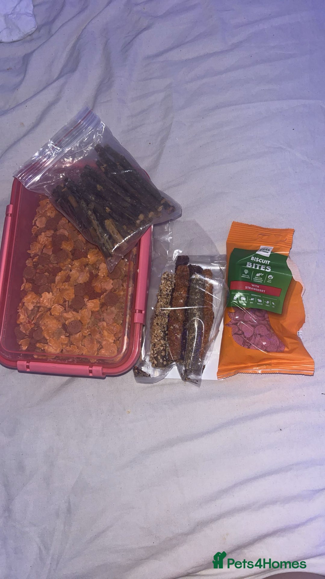 Hamster rodents for sale: hamster and everything included - Image 11