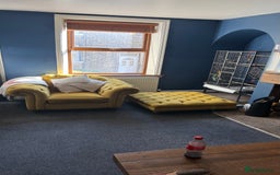 Sugar Glider rodents for sale: 4x sugar gliders - Advert 9