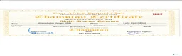 Rhodesian Ridgeback dogs for stud: ORIGINAL KC IMPORTED STUD FROM AFRICA  - Advert 6