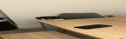 Miniature Dachshund dogs for sale: Rehoming my beautiful Miniature dachshund  - Advert 3