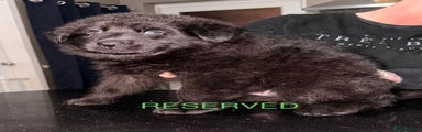 Reserved 
