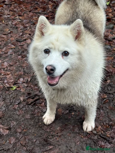 Gallery Image {{count}}