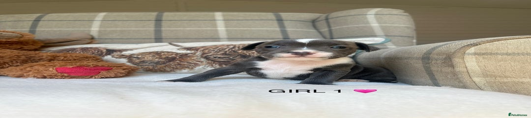 GIRL 1🩷