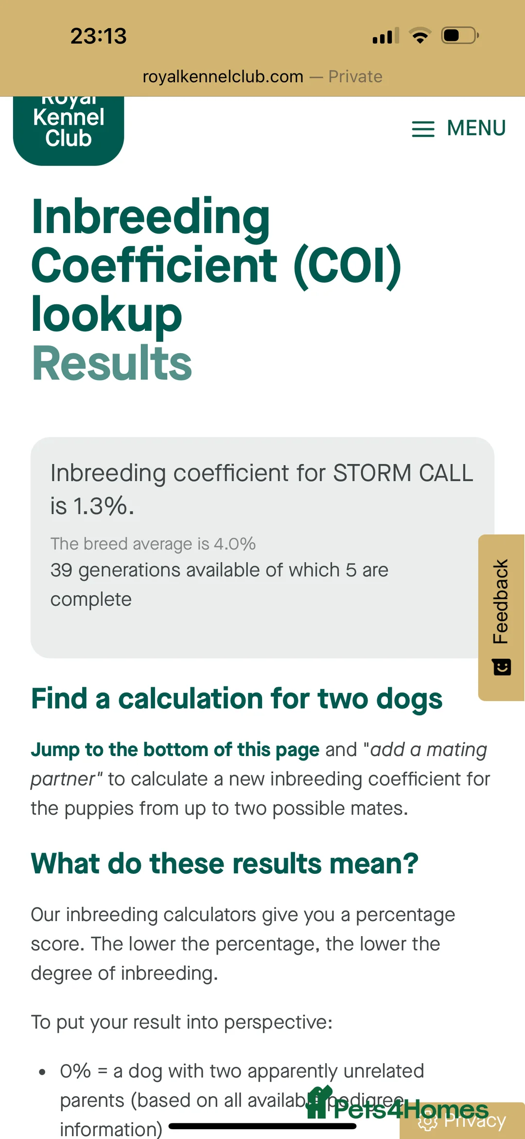 Miniature Dachshund dogs for stud: Super tiny 3.8kg long haired True isabella tan kc - Advert 12