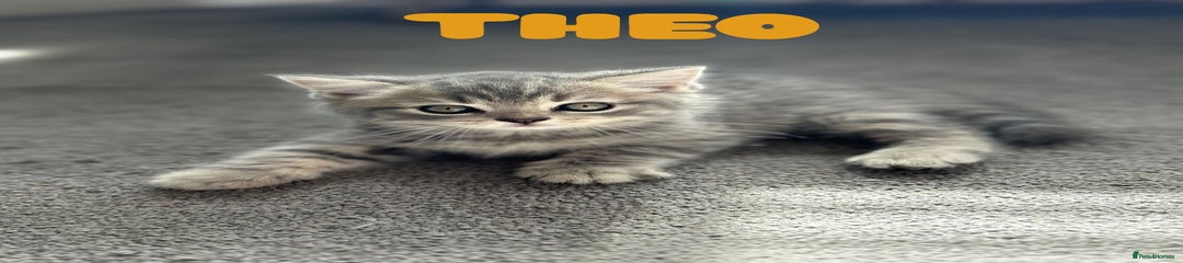 Theodor