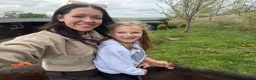 English Thoroughbred horses for sale: 16hh thoroughbred horse  - Advert 4