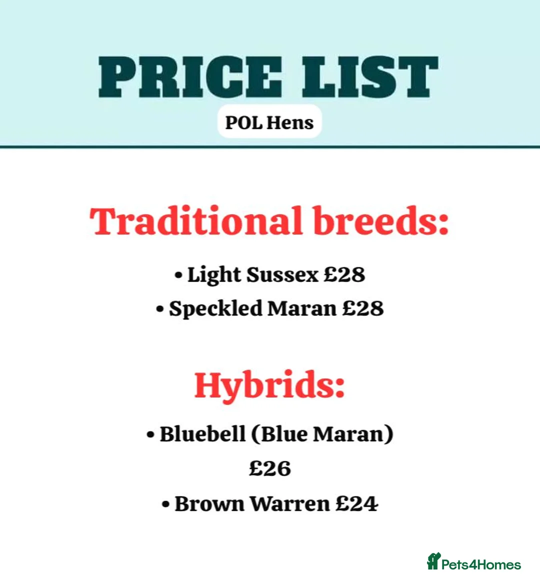 Chickens poultry for sale: Hybrid/Pure breed POL hens for sale! - Advert 5