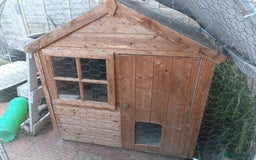 Mixed Breed rabbits for sale: Bonded bunnies - Image 4