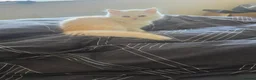 Persian cats for sale: Last persain  kittens 1 - Advert 6