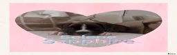 Boxer dogs for sale: 🐾 Exceptional Pedigree KC Reg. Boxer Puppies 🐾 - Advert 3