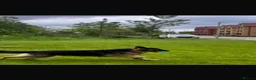 German Shepherd dogs for sale: German Shepherd – 2 Years Old – - Advert 7