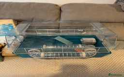 Hamster rodents for sale: Hamster cage set up with everything u need - Image 13
