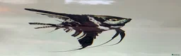 Angelfish fish for sale: Marble Angelfish - Advert 1