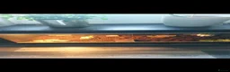 Tortoise reptiles for sale: Male tortoise in Colne - Advert 3