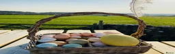 Chickens poultry for sale: Hatching eggs, Chicks & Ducklings - Advert 23
