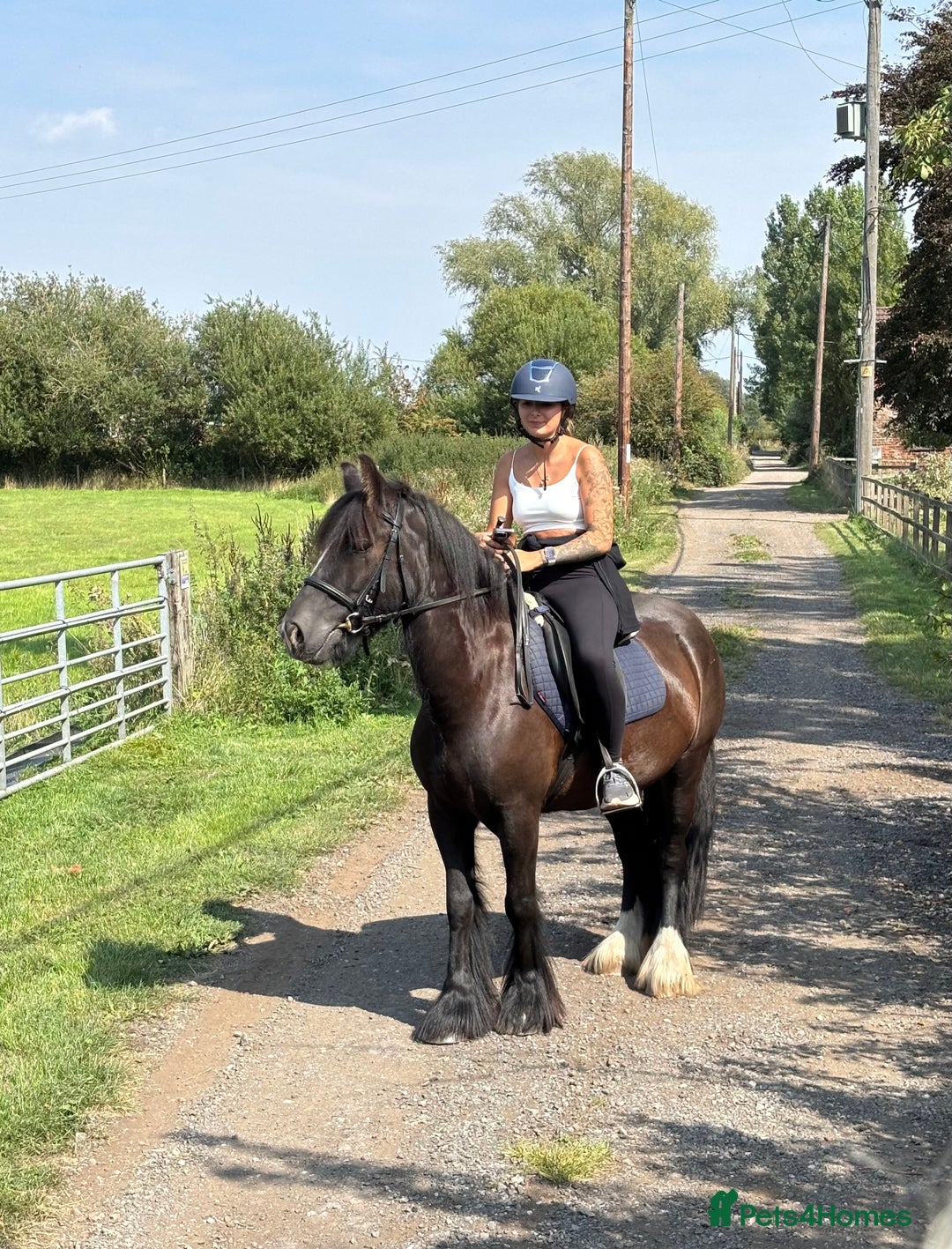 Irish Cob horses for sale: 13.1 Cob Mare - Your Child’s next Best Friend! 🩷 - Image 1