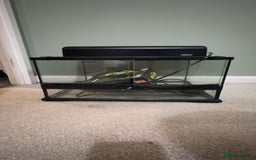 Leopard Gecko reptiles for sale: Gecko/Lizard cage  - Image 4