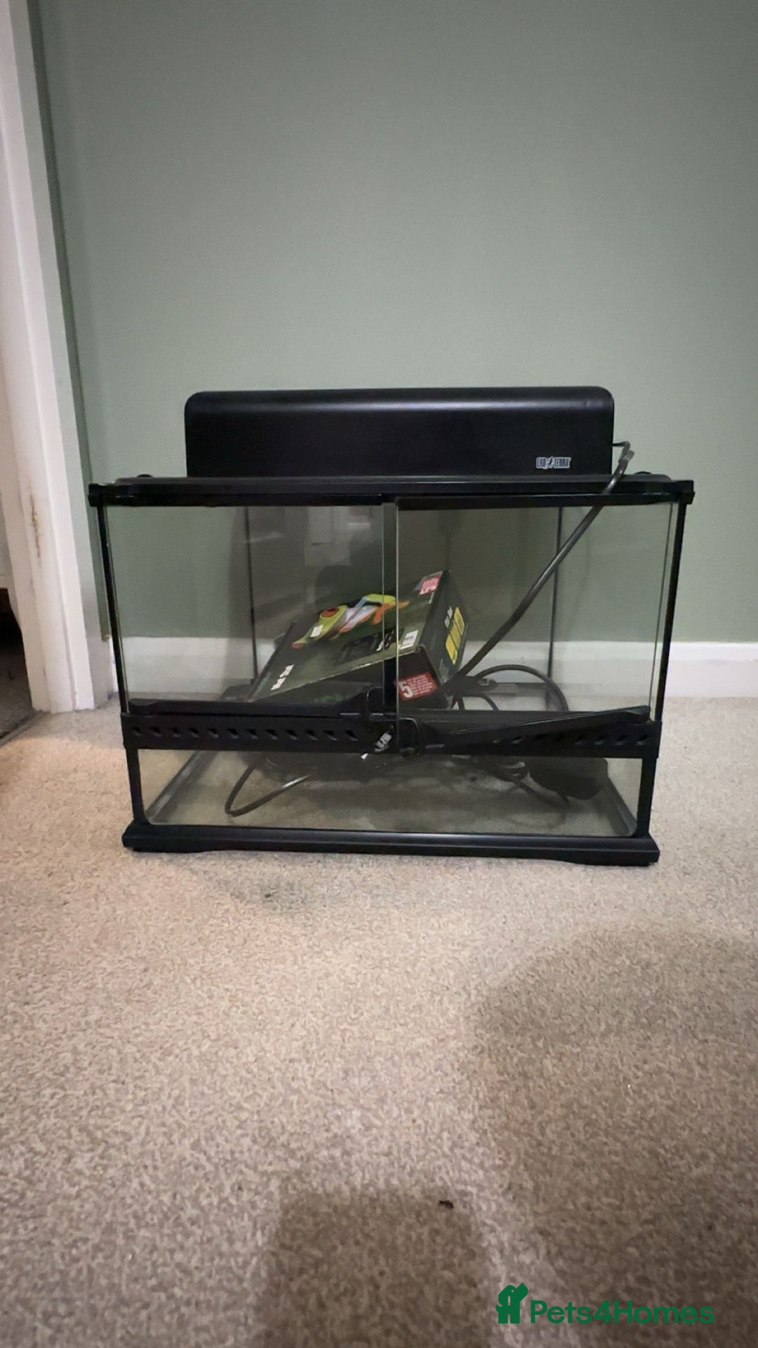 Leopard Gecko reptiles for sale: Gecko/Lizard cage  - Image 4