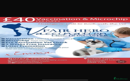 Dachshund dogs for sale: Dachshund boy ready for his new home  - Image 6