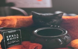RagaMuffin cats for sale: Black Ragamuffin Kittens - Image 2
