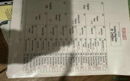 Cocker Spaniel dogs for sale: WCS bitch with working parents - Image 6