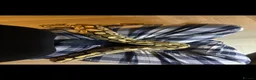 Python Snake reptiles for sale: Royal python - pastel lesser  - Advert 2