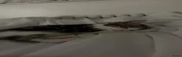 Mixed Breed cats for sale: Domestic shorthair mix with British shorthair  - Advert 4