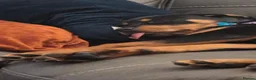 Rottweiler dogs for sale: 8.5 month old rottie in Plymouth - Advert 3