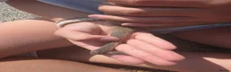 Italian Greyhound dogs for sale: Beautiful Italian-greyhound puppies - Advert 9