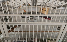 Parrots birds for sale: African grey  - Image 6