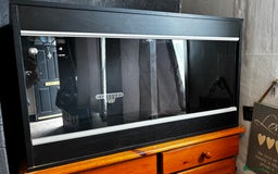 Dragon reptiles for sale: Dragons viv - Image 6