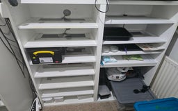 Python Snake reptiles for sale: Ball pythons - Image 15