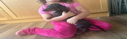Miniature Dachshund dogs for sale: 2 miniature dachshund sisters 7 months old in Swadlincote - Advert 5