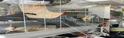 Rat rodents for sale: 2 rats with full cage set up in London - Advert 6