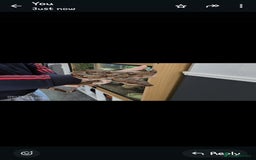 Boa Snake reptiles for sale: 2x male boas - Image 2