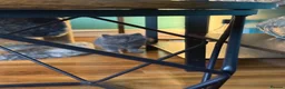 Persian cats for sale: Stunning persian kittens - Advert 11