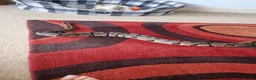 Python Snake reptiles for sale: Royal python with vivarium  in Newquay - Advert 2