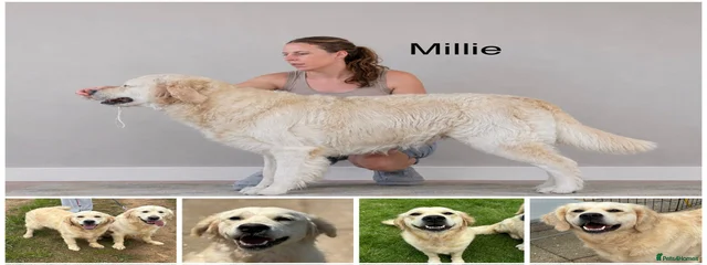 Millie