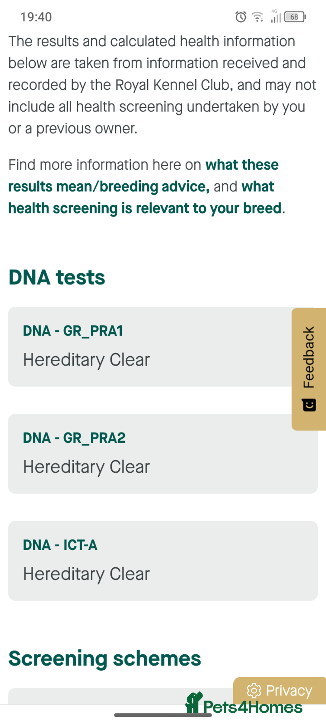 Golden Retriever dogs for sale: 🐶 Dark Golden retriever puppies 🐶 - Advert 7